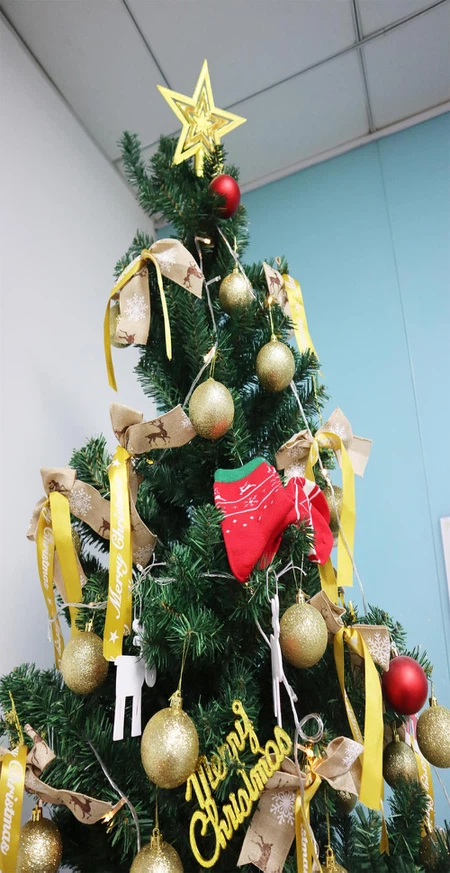 Beautiful-Christmas-Tree Beautiful-Christmas-Tree