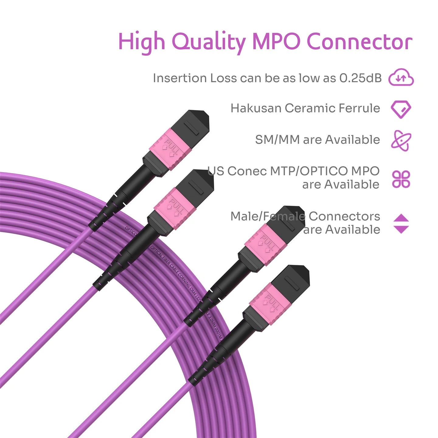24F 2×12F MPO Male-2×12F MPO Female Trunk Cable SM MM Customizable 24F 2×12F MPO Male-2×12F MPO Female Trunk Cable SM MM Customizable
